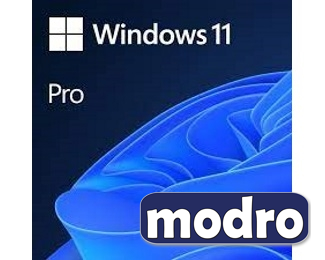 Windows 11 Pro 64bit Eng Intl OEM (FQC-10528)